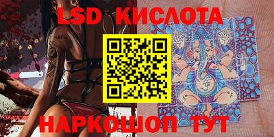 стаф Кунгур