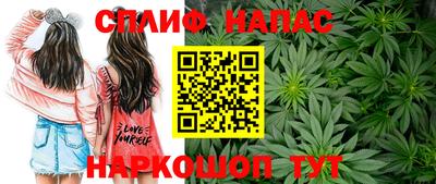 стаф Кунгур