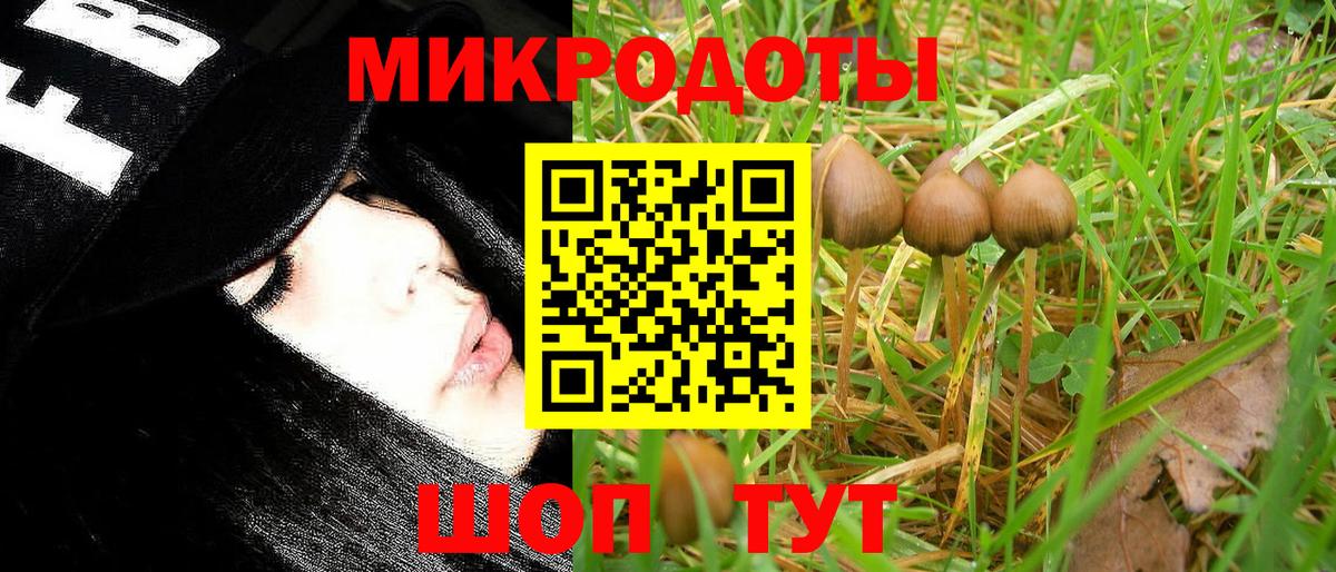Галлюциногенные грибы GOLDEN TEACHER  Вход с VPN  Ивантеевка 
